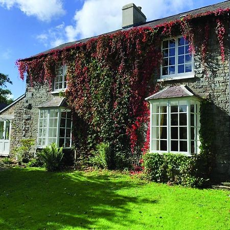 Pontyclerc Farm House Bed And Breakfast Ammanford Dış mekan fotoğraf