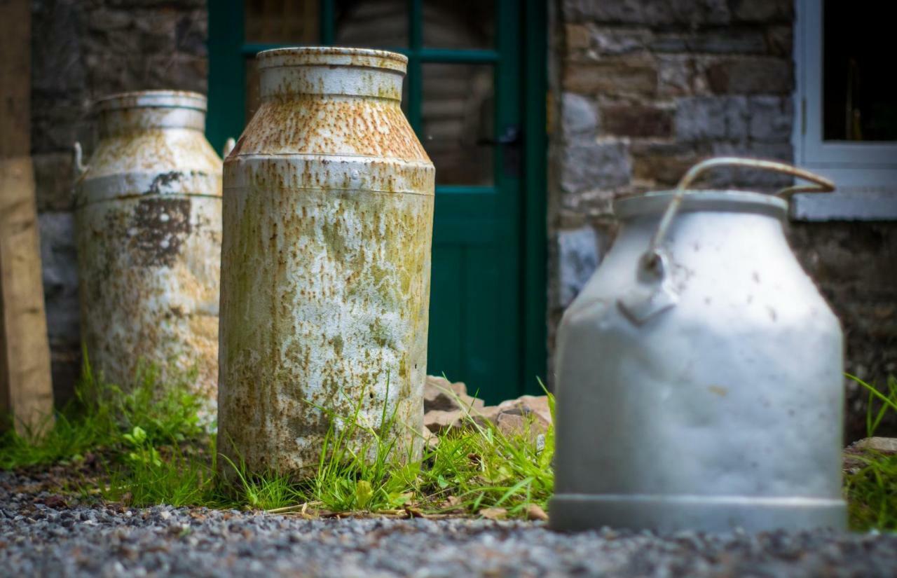 Pontyclerc Farm House Bed And Breakfast Ammanford Dış mekan fotoğraf